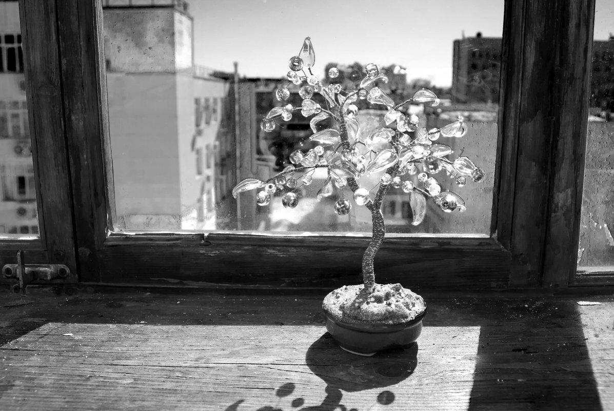 Одинокое дерево - Nadezhda Key