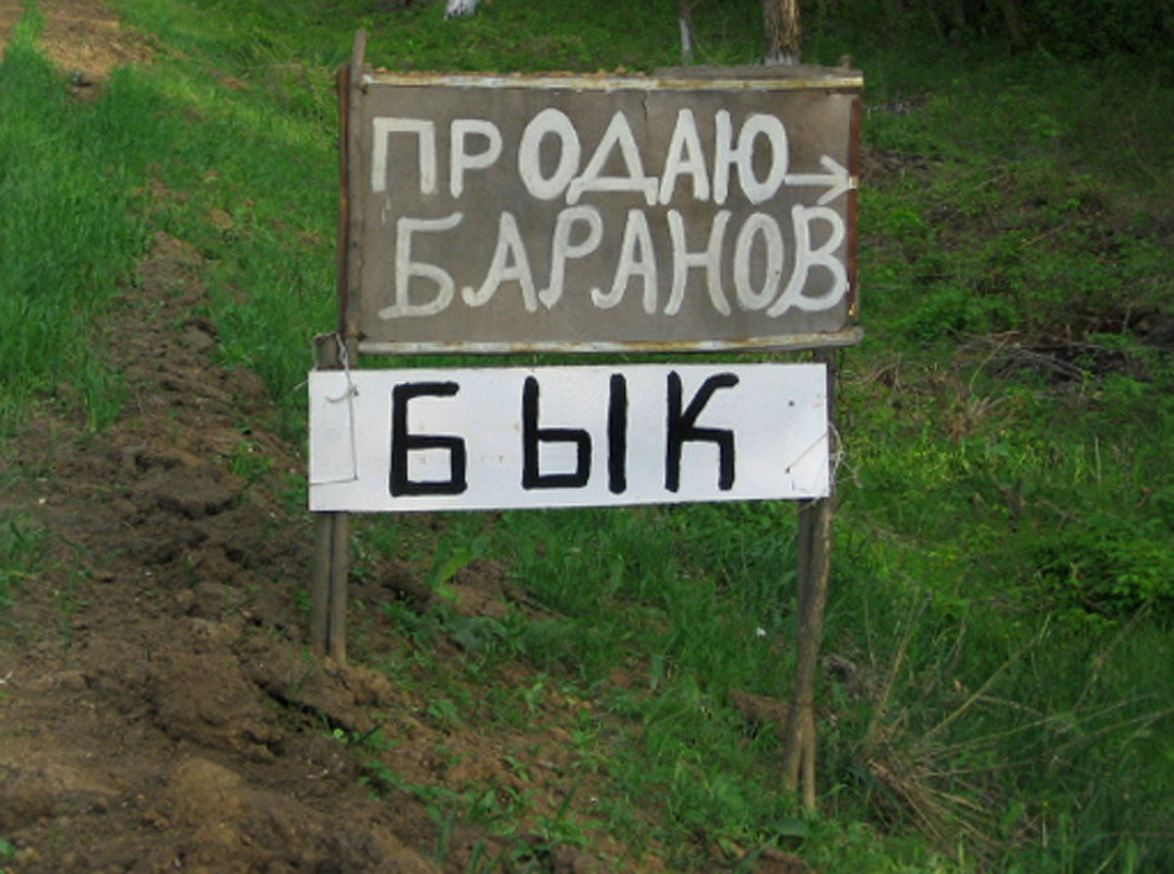 Производитель подрабатывает. - Петрович 