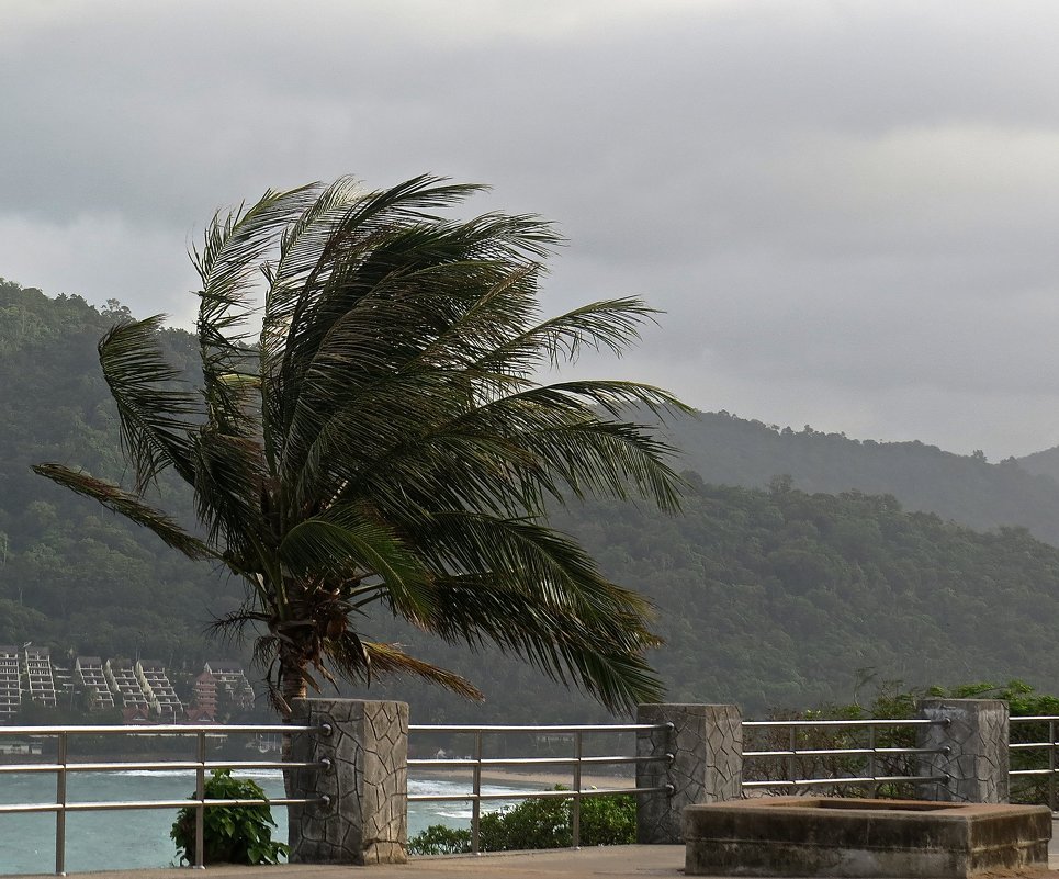 Какой большой ветер напал на наш остров.... - Нина Ковзель