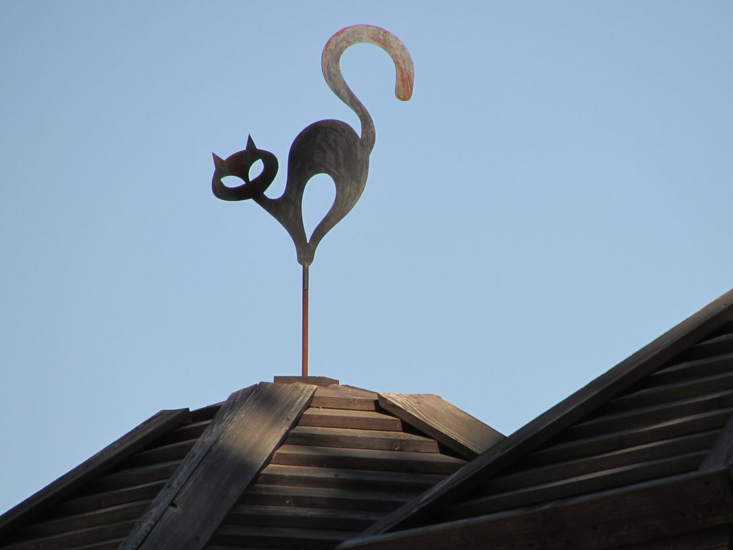 Кот на крыше - Marina Timoveewa