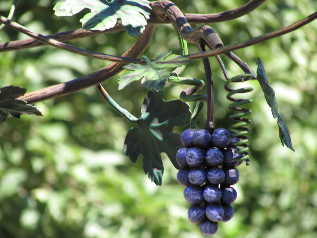 Кованный виноград - Marina Timoveewa