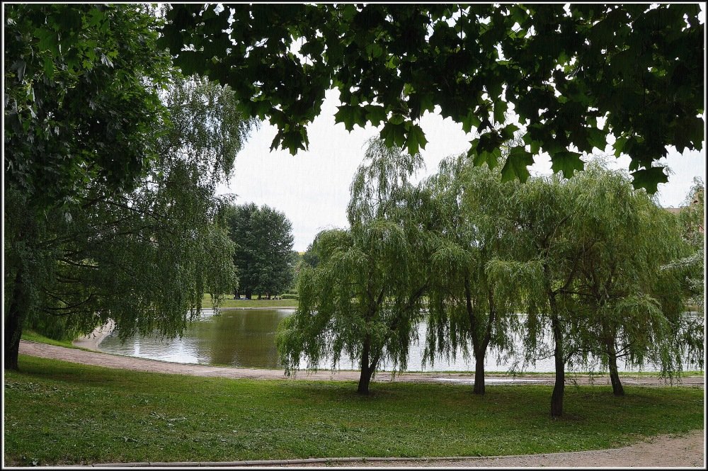 В парке - Анатолий Цыганок