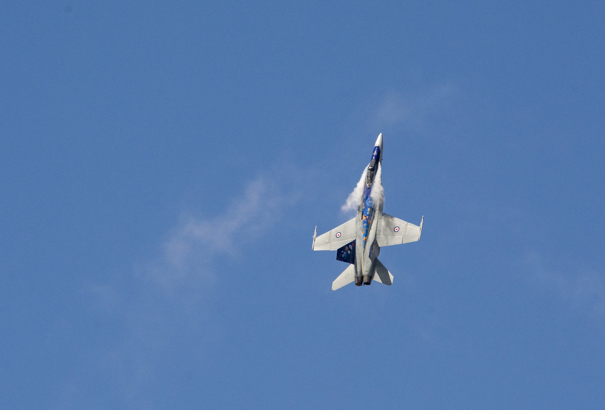 CF-18, Hornet - Сергей Бушуев