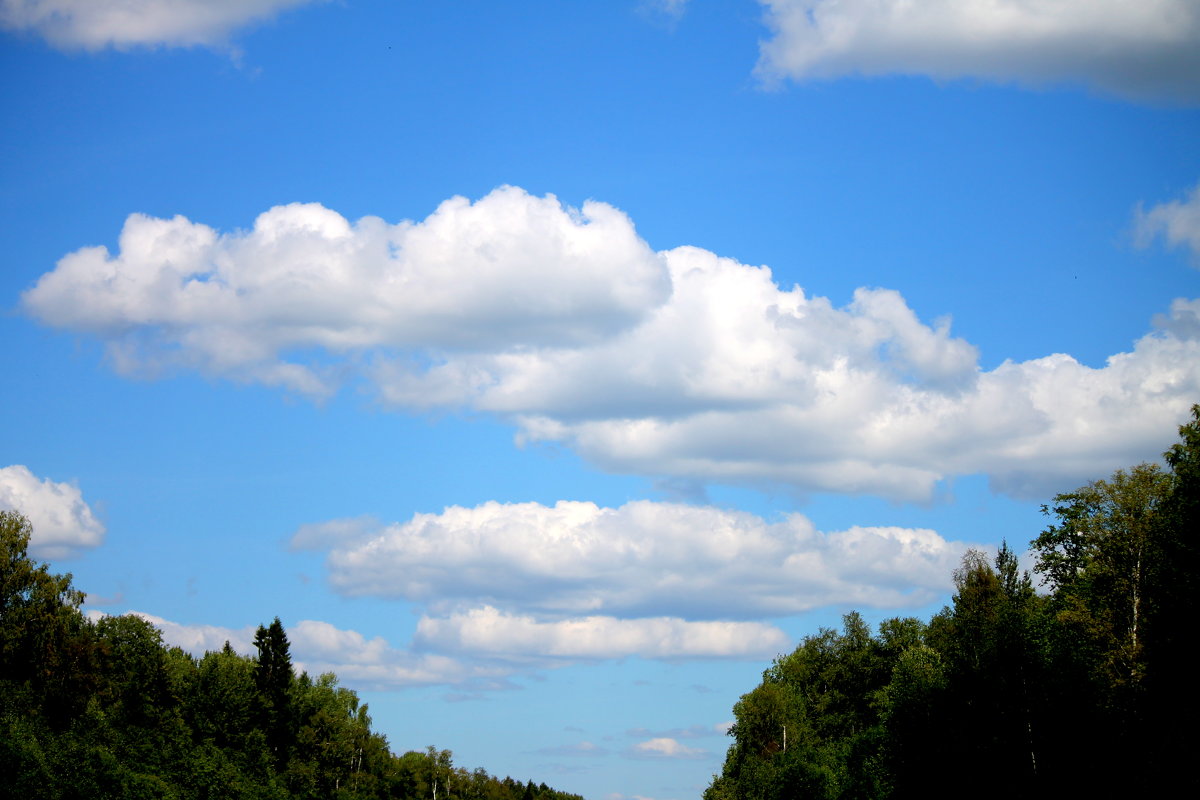 По дороге с облаками - Полина Бесчастнова