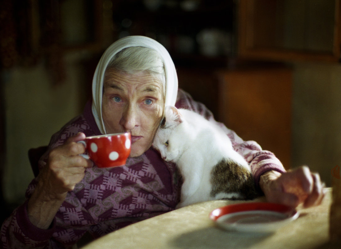 Бабушка Зоя за чаем - Валерий Талашов