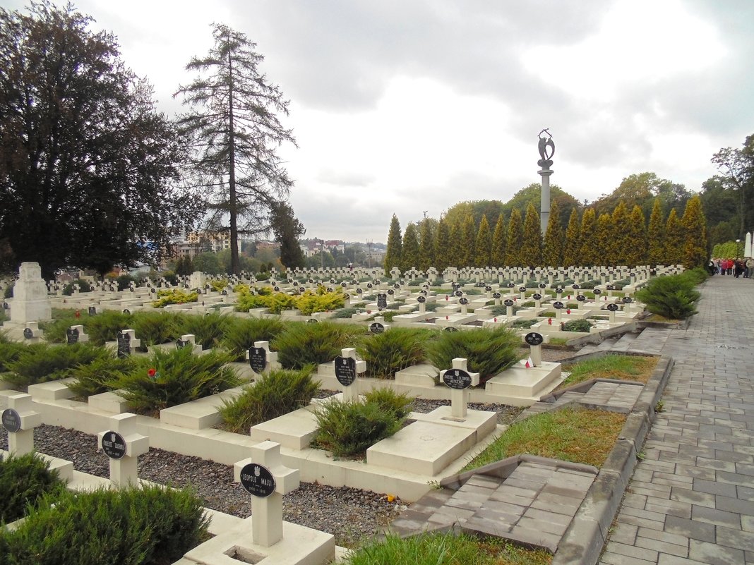 Кладбище американцев, погибших на Украине в 18-20гг - Бояринцев Анатолий 