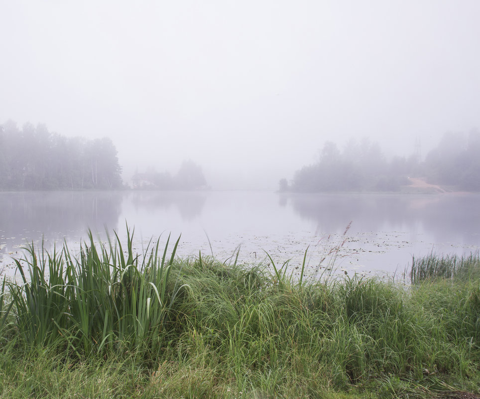 туман на озере - ник. петрович земцов