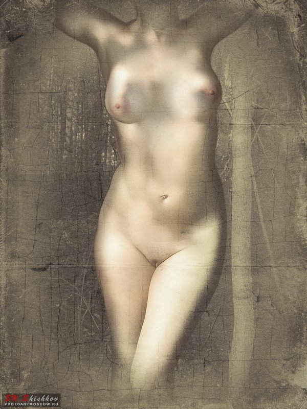 Body - Сергей Шишков