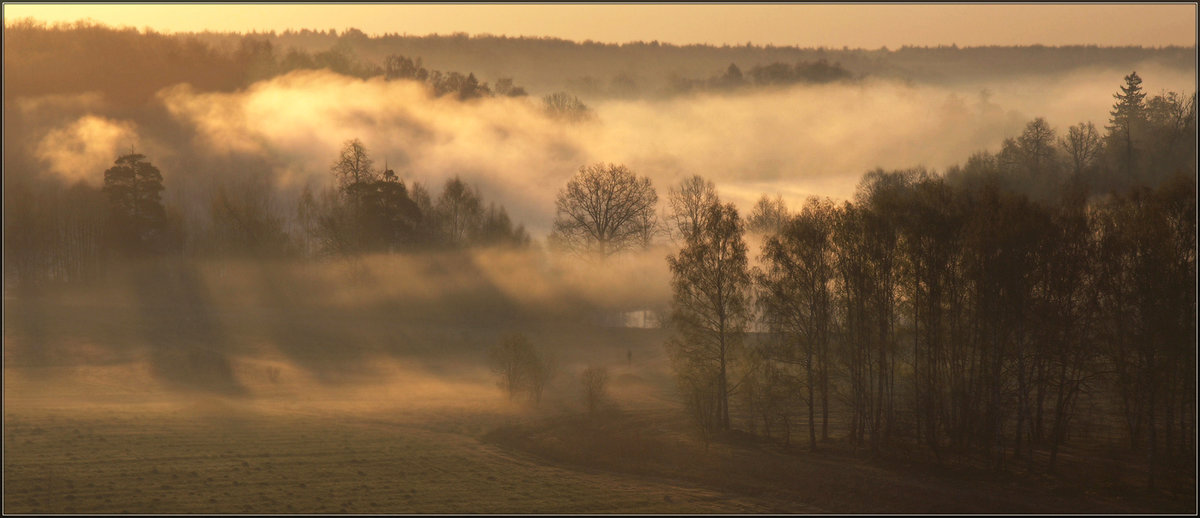 Туман и солнце - Надежда Лаврова