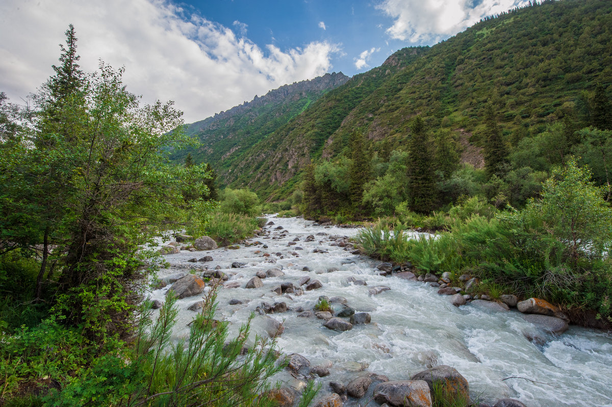 река Алаарча, Киргизия - Виктор Садырин