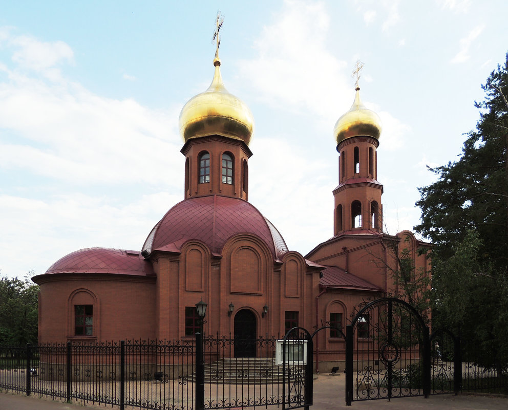 Церковь Димитрия Донского - Александр Качалин