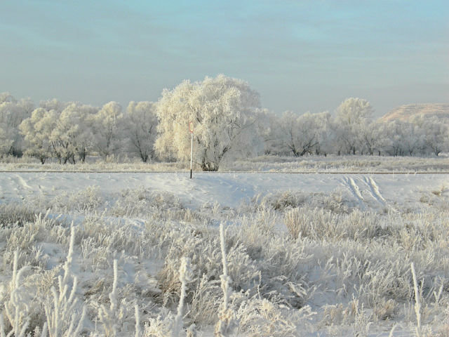 Зима - Вера Саитхужина