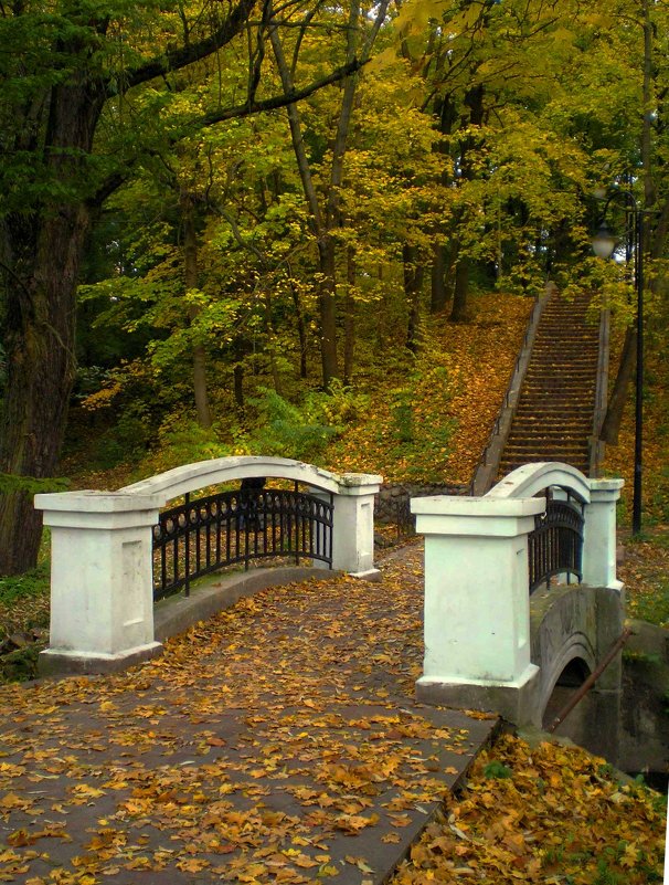 Осенний парк - Сергей Карачин