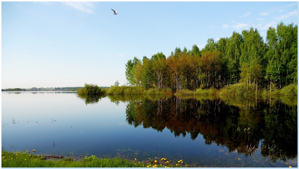 отражение в озере - Сергей Швечков