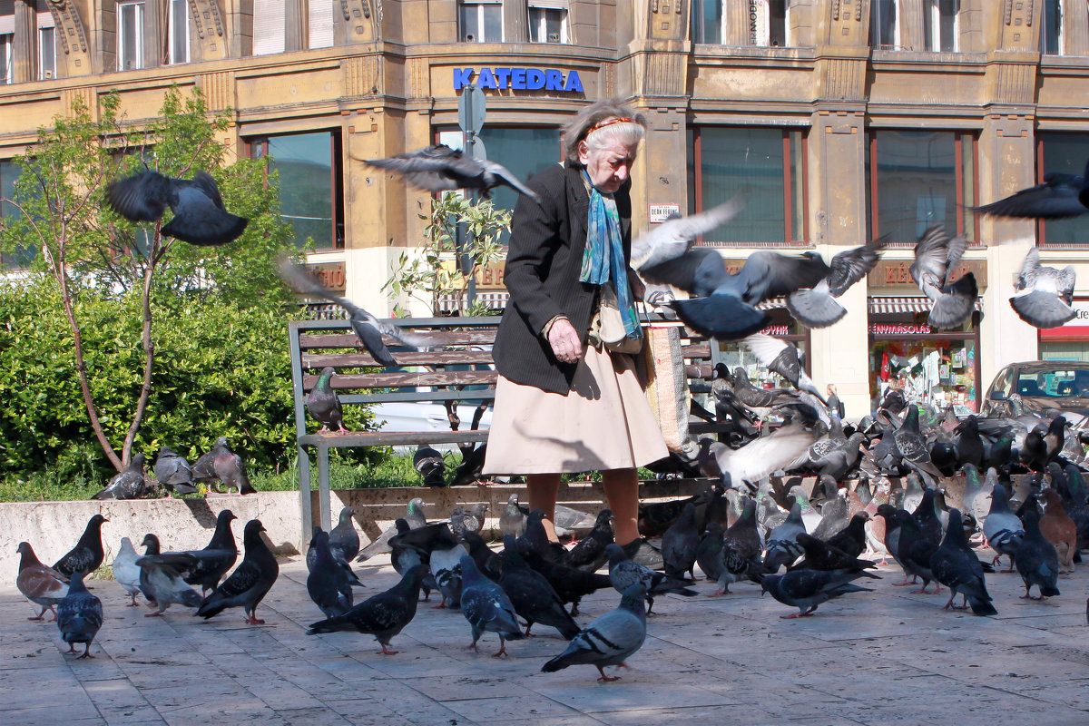 повелительница голубей - Tanya Savchenko