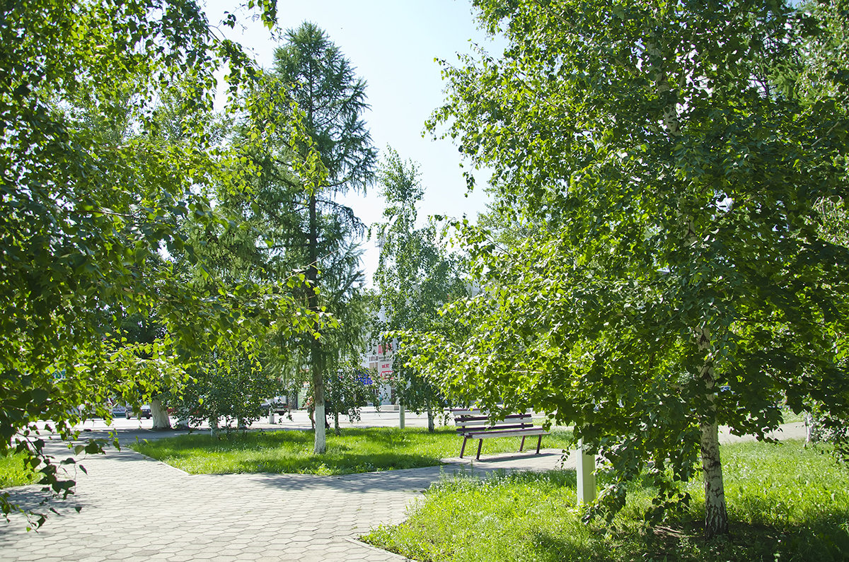 В парке - Лада Солонская