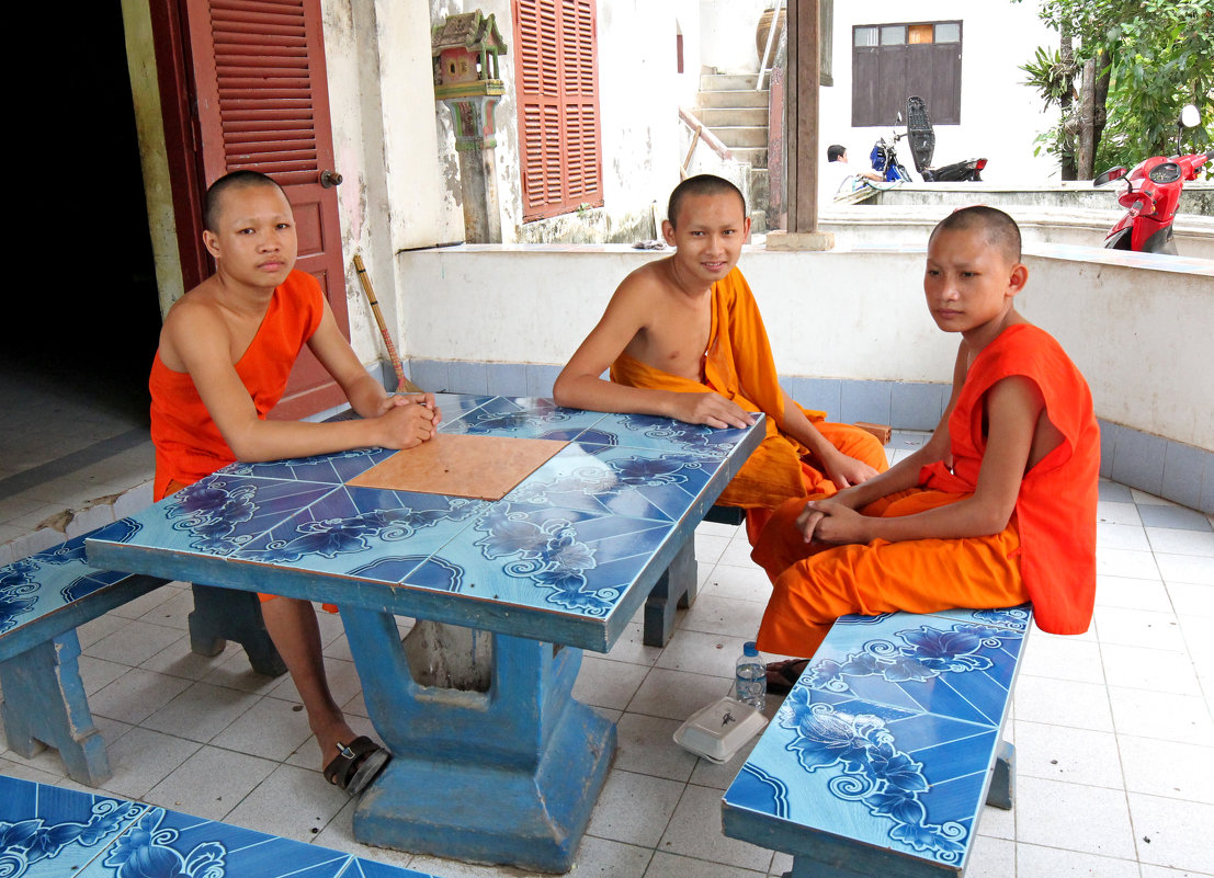 Лаос. Молодые монахи - Владимир Шибинский