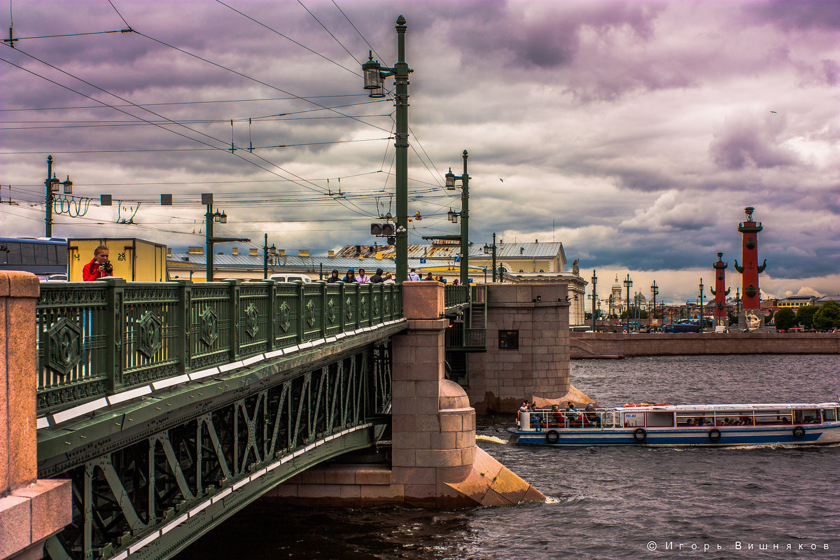 Дворцовый мост - Игорь Вишняков