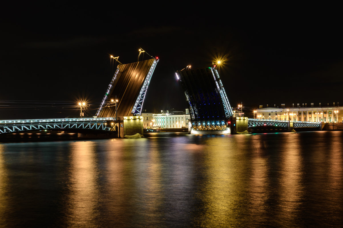 Дворцовый мост - Константин Шумихин