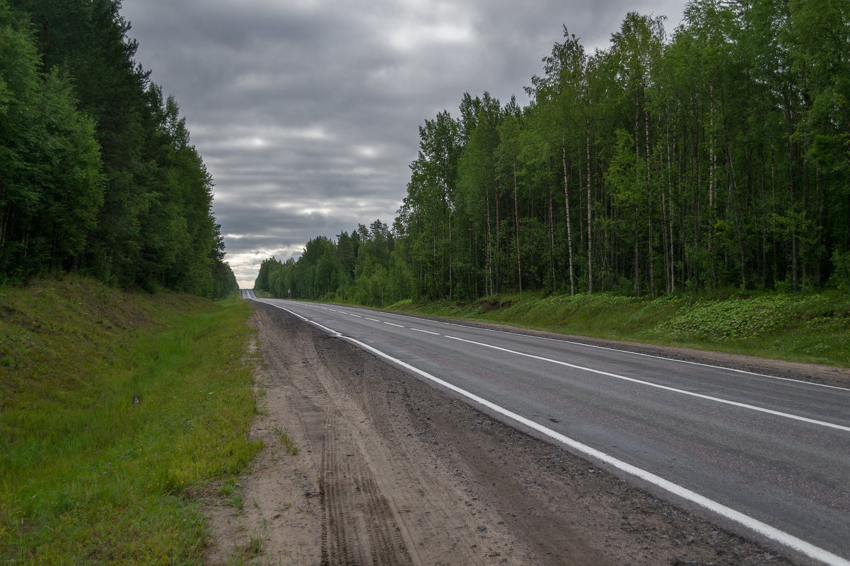 Дорога - Александр Горбунов