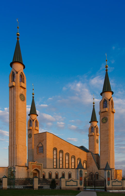 Нижнекамская соборная мечеть - Марсель Давлетов