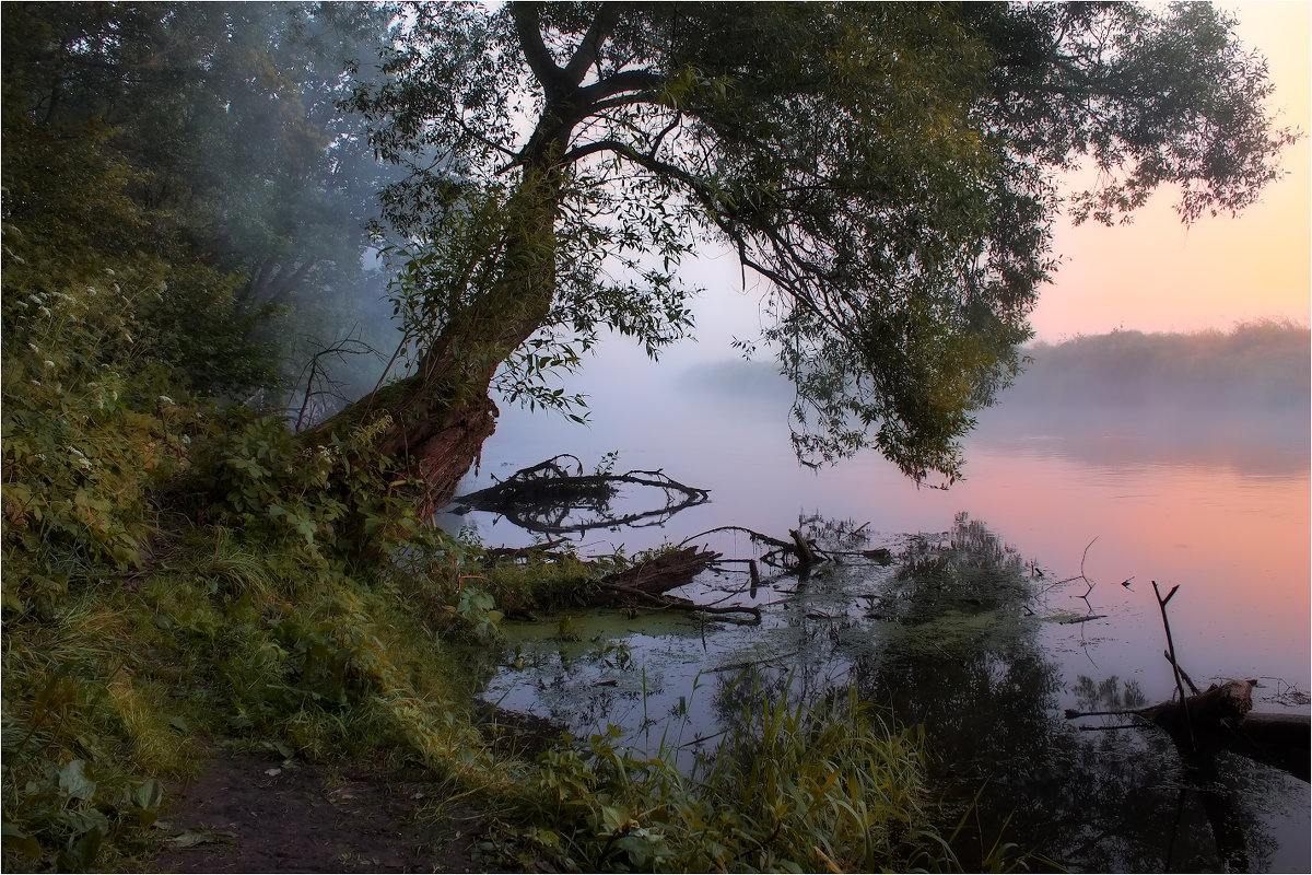 Про утро на реке - Сергей Шабуневич