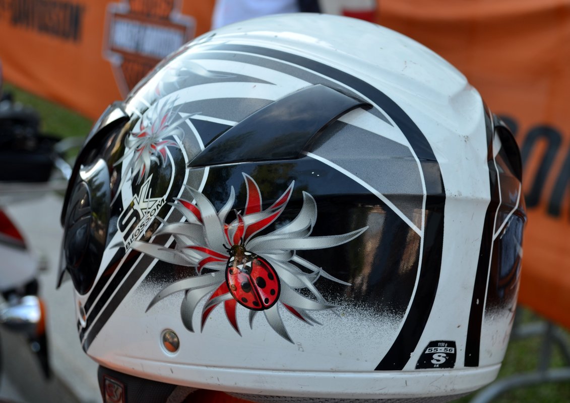 Дни Harley-Davidson в Санкт-Петербурге 2014 - Savayr 