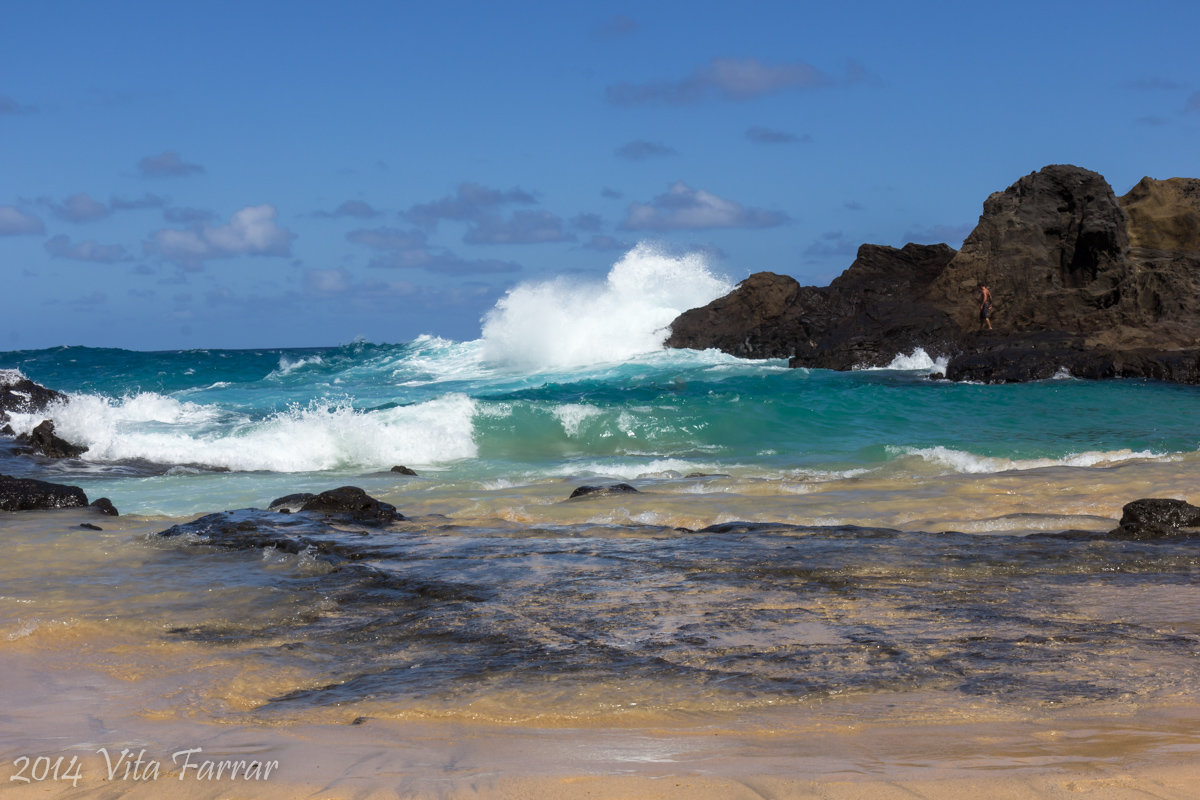 Пляж Honolulu - Vita Farrar