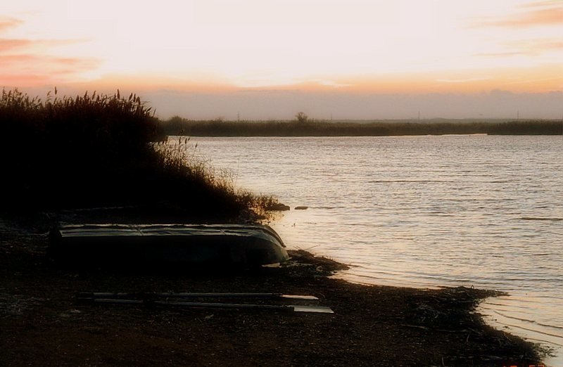 Рассвет на озере - Елена Даньшина