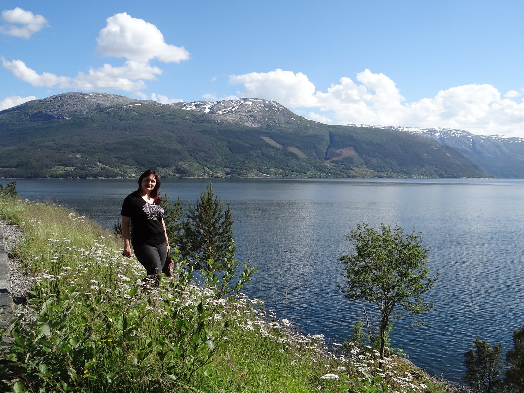 Норвежский пейзаж - Эльф ```````