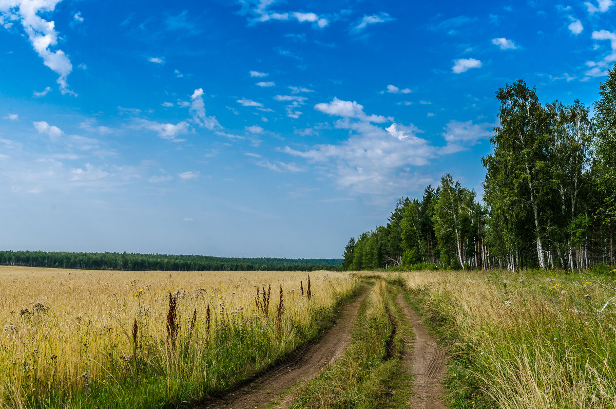 Сельский пейзаж - Сергей Комаров