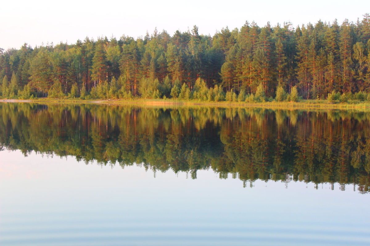 лесное отражение в озере - Анютка А