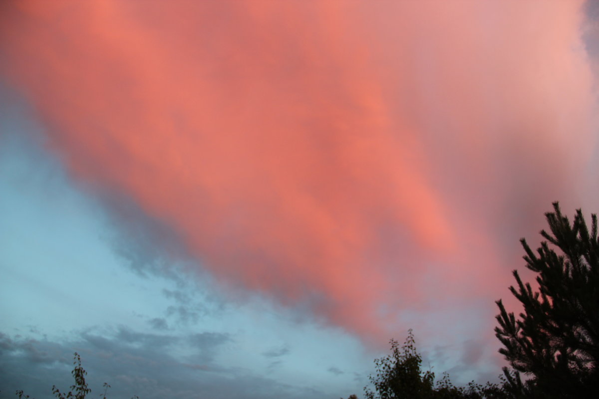 небо перед дождем - Лариса Корженевская