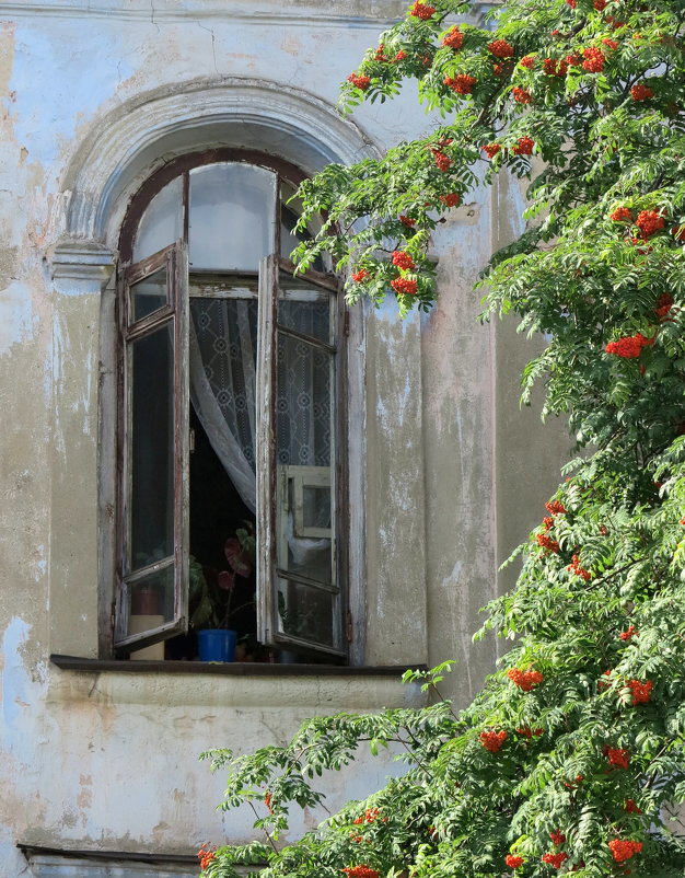 Старый дом - anna borisova 