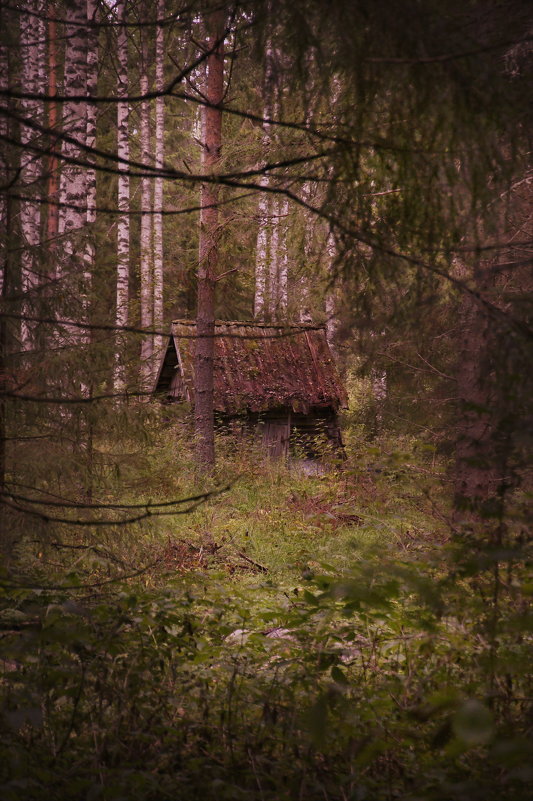 Домик в лесу - Валерий Стогов