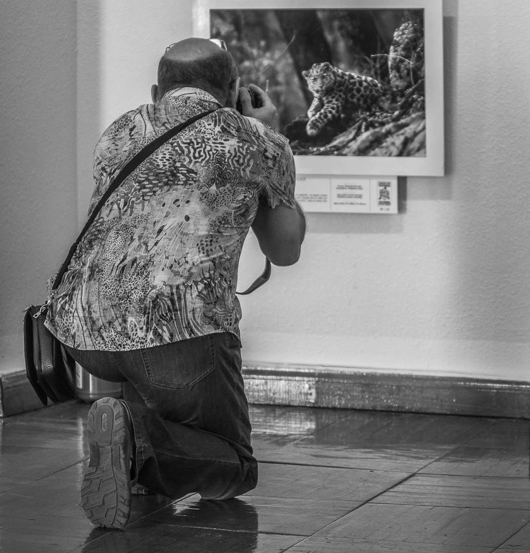 Преклоню колени...:) на выставке "Золотая черепаха" - Juli@ 