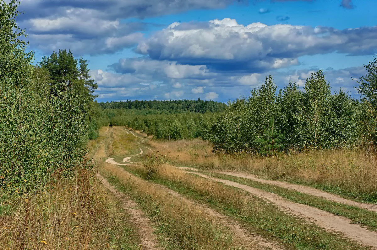 Картинки полевая дорога