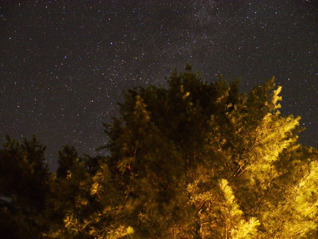 Ночное небо над Вермонтом - Vadim Raskin