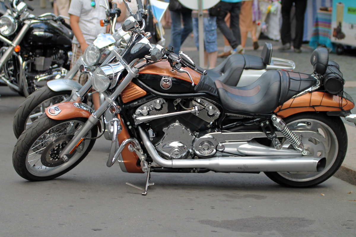 Дни Harley Davidson в Санк-Петербурге 2014 - Sasha Bobkov