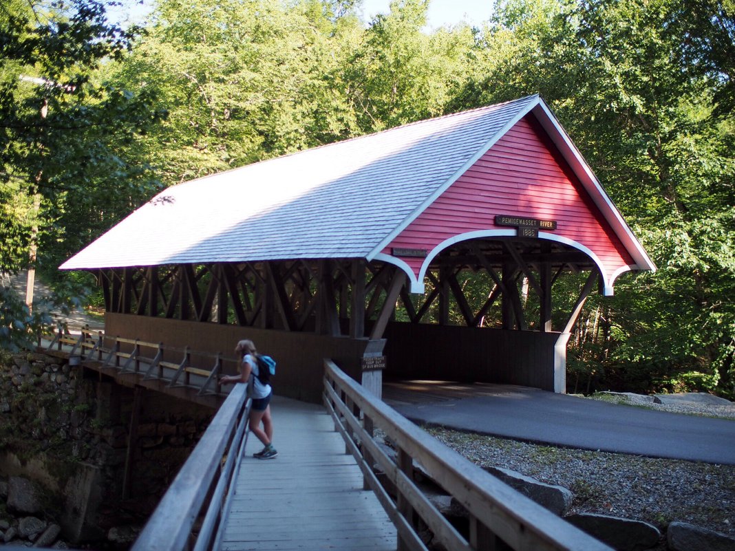 Covered bridge - Vadim Raskin