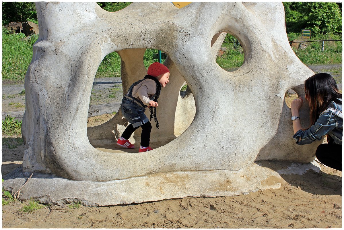 В ДиноПарке Острава и на детской площадке "части динозавров", а дети вполне довольны...:-) - Dana Spissiak