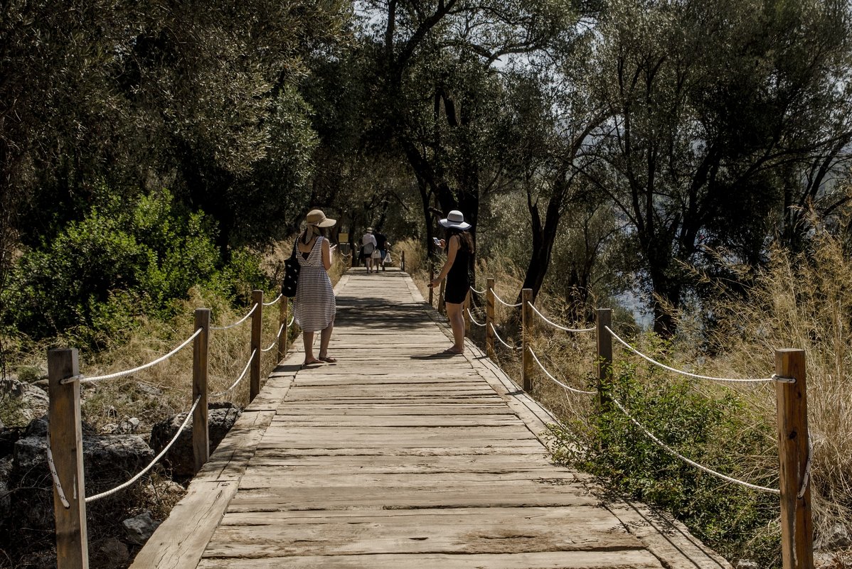 on the bridge - Dmitry Ozersky