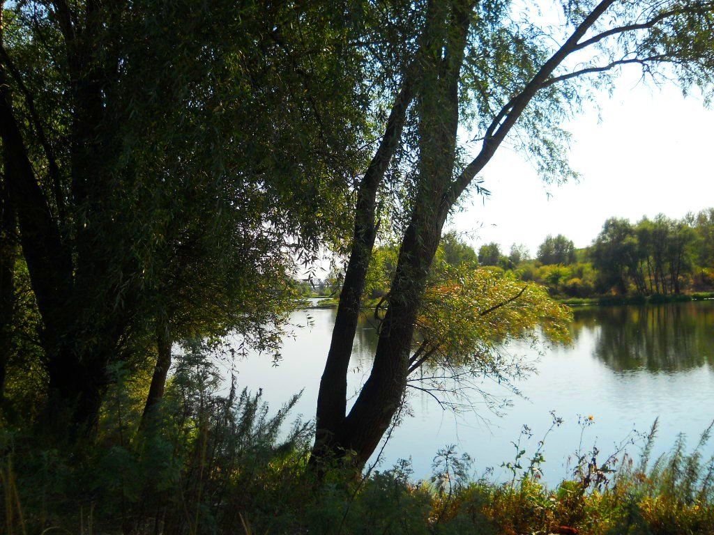 Приходит осень... - Галина Медведева