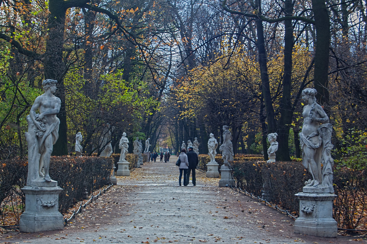 осенний летний сад картинки