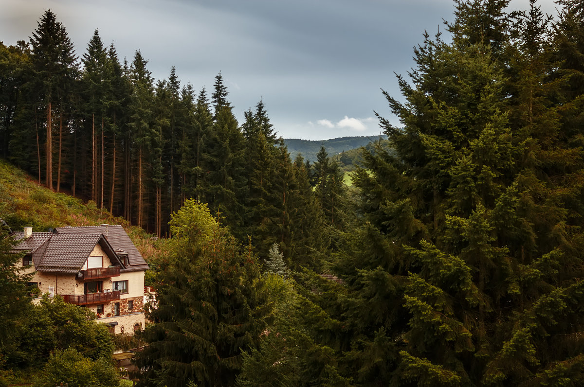 Adenau (Germany) - Nerses Davtyan