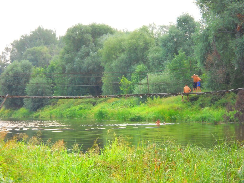 Лето - Галина Медведева