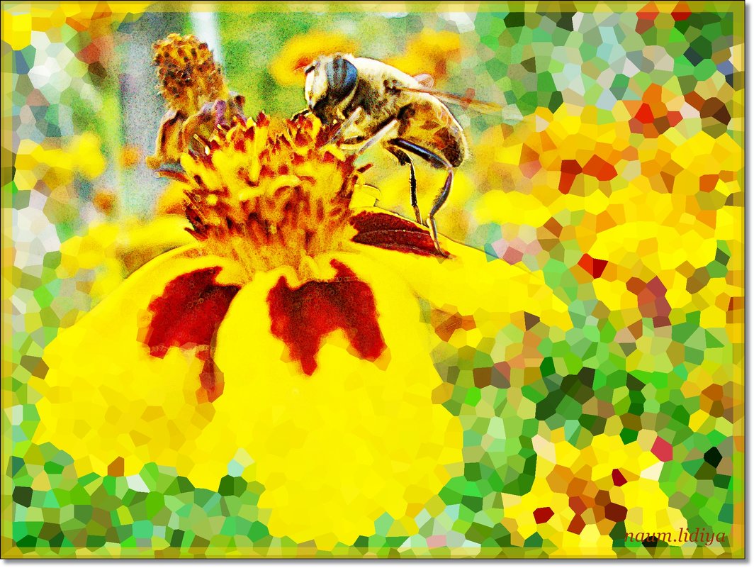 Пчелка - Лидия (naum.lidiya)
