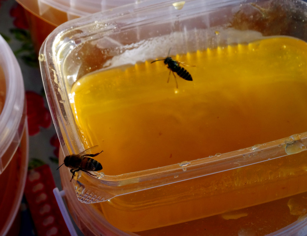 пчелы тоже любят мёд - Юлия Мошкова 