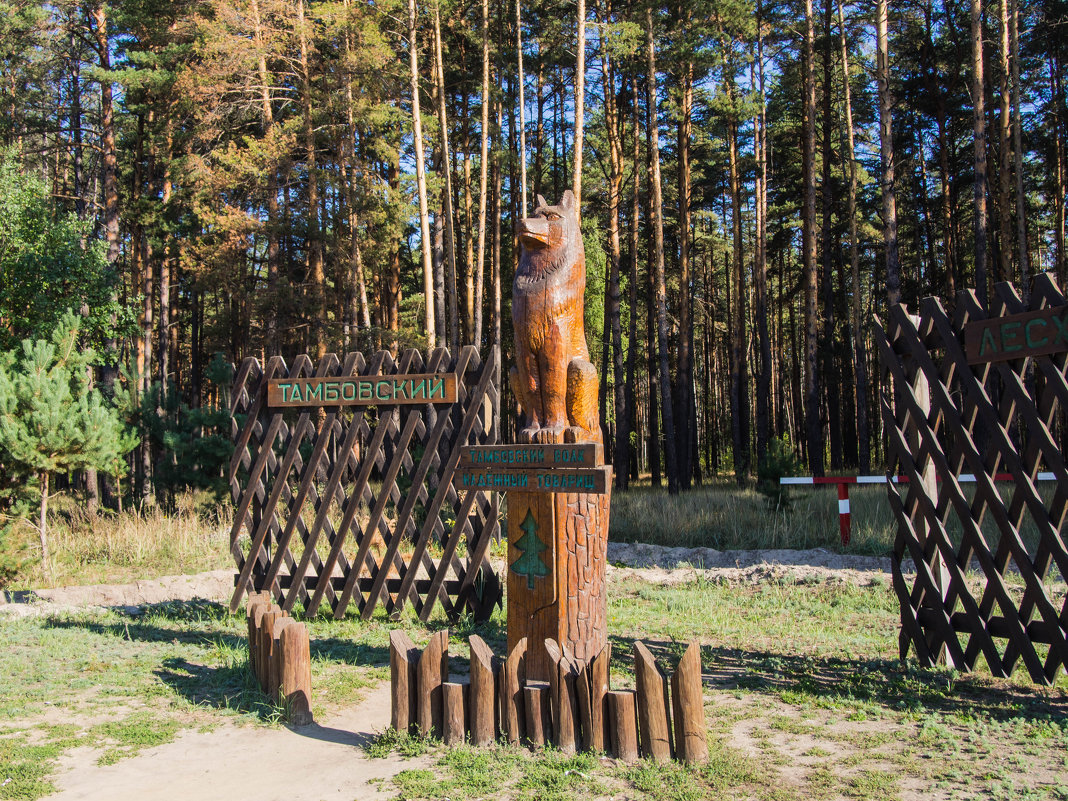Эмблема Тамбовского лесхоза - Виктор 