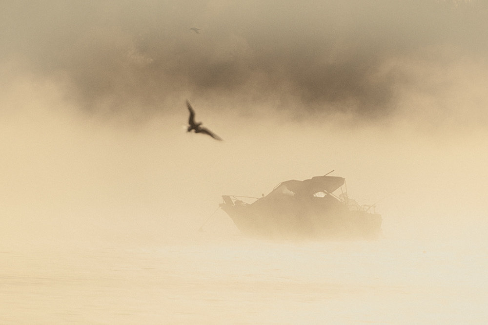 ежик в тумане - Валерий 